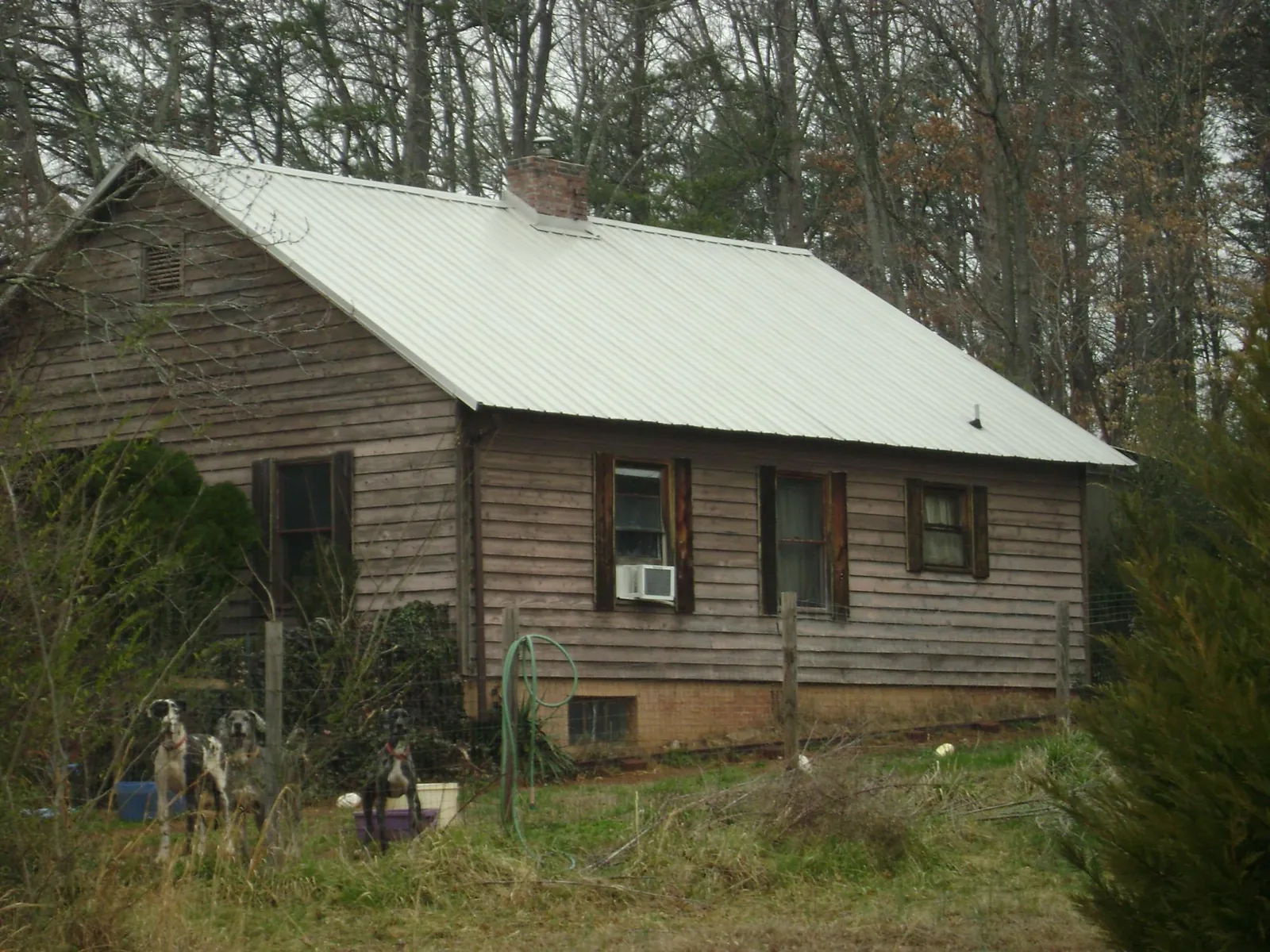 White metal roof on an old wood sided farmhouse, from a Asphalt Shingle Roof Repair job in Lakeville